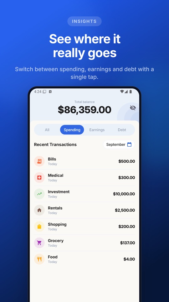 See where it really goes: switch between spending, earnings and debt